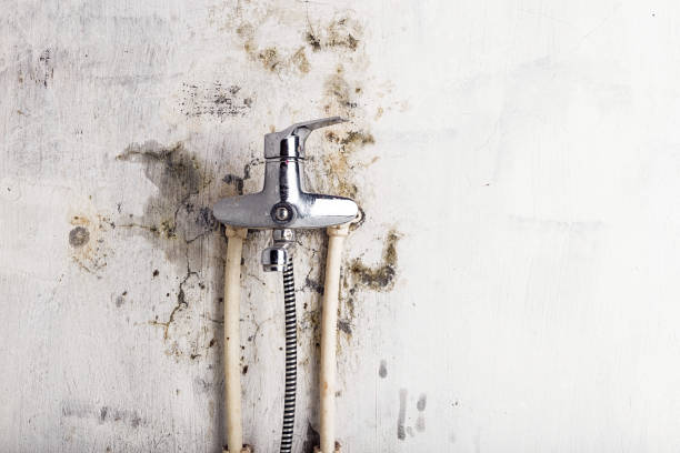 Best Emergency Mold Removal  in Abilene, KS