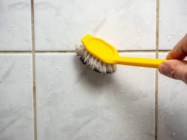 Best Mold Damage Repair  in Abilene, KS