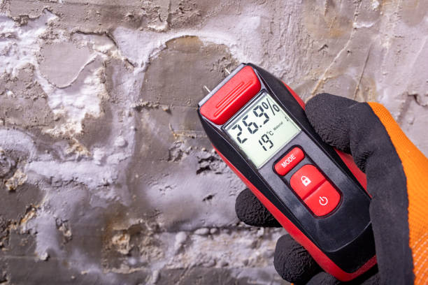 Office Mold Removal Services in Abilene, KS
