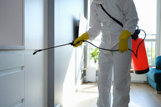 Best Mold Cleaning Services  in Abilene, KS