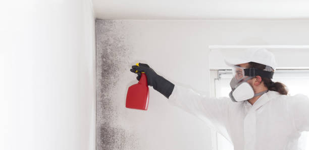Crawl Space Mold Removal in Abilene, KS