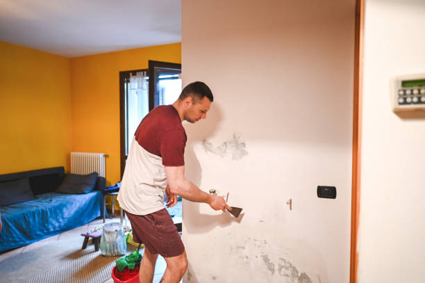Abilene, KS Mold Removal Company