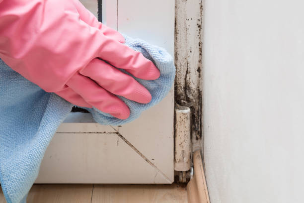 Best Mold Testing  in Abilene, KS